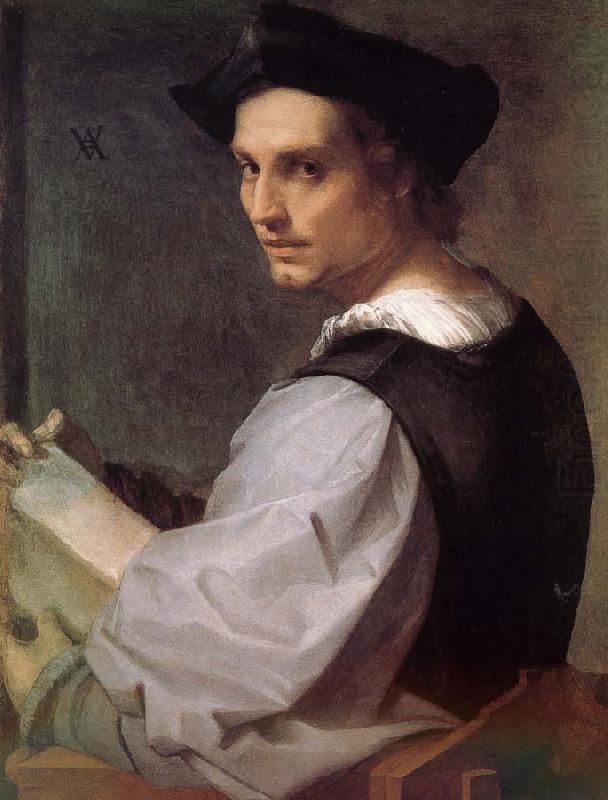 Andrea del Sarto Man portrait china oil painting image